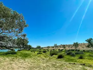 Munga-Thirri National Park