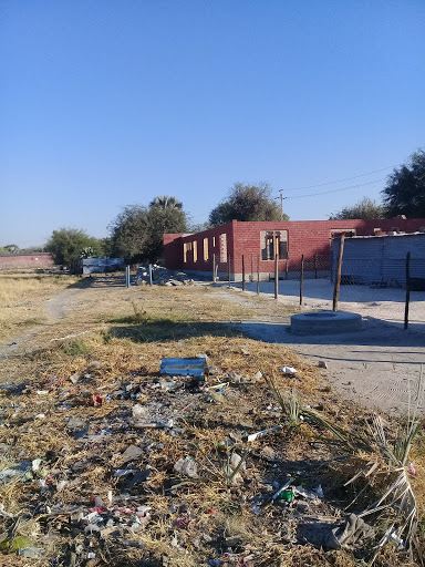 Raw Material Potato & Dead Leaves Farm