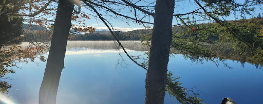 Nimrod's Campground