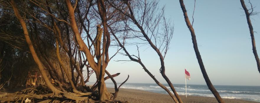 Pantai Dewaruci Bantul