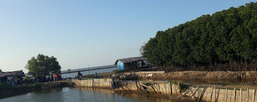 Jembatan Pelangi Berambang Lontar