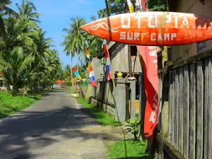 UTOPIA KRUI SURF CAMP