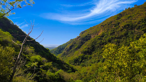 Trail 5 End Point