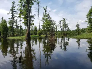 Pascagoula River State Wildlife Management Area