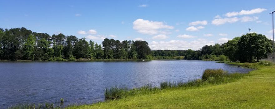 City Pond Park