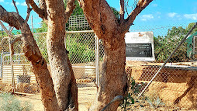 Exmouth Community Garden