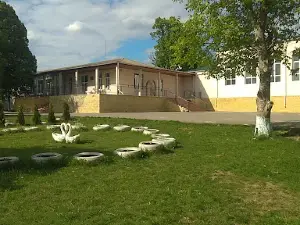 Stadion Gura Camencii