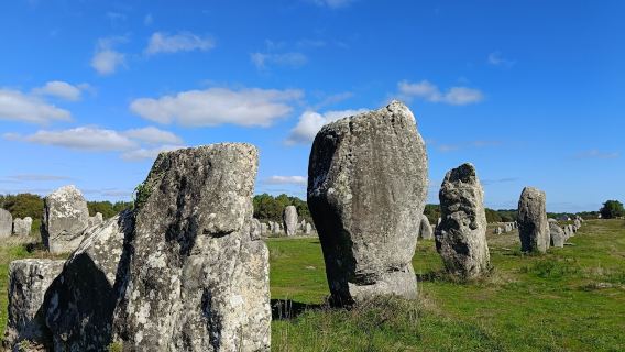Alignements of Carnac