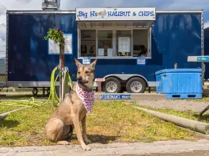 Clinton Pines RV Park & Campground