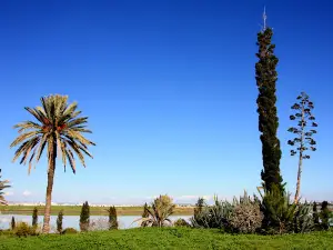 Landmark of Hala Sultan Tekkesi