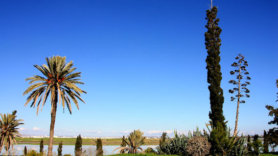 Landmark of Hala Sultan Tekkesi