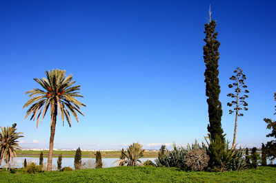 Hala Sultan Tekke