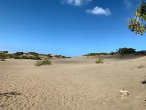 Dunes of Baní
