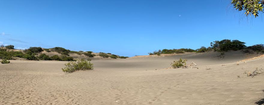 Dunes of Baní