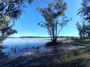 Uruguay River