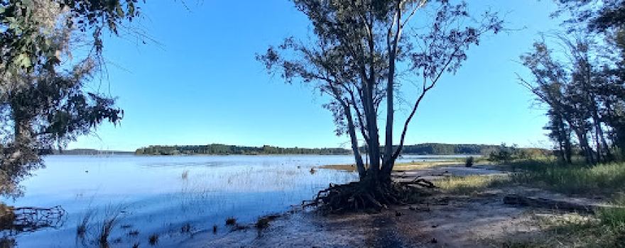 Uruguay River