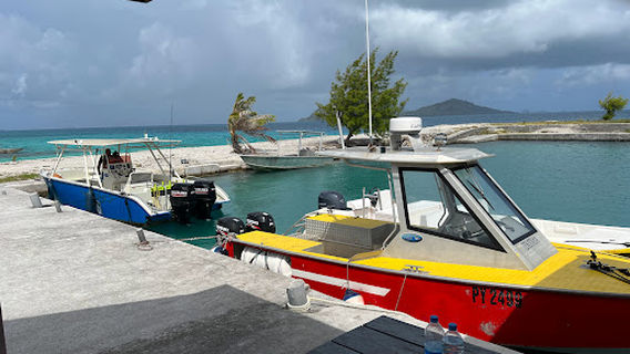 Aukena