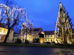 Kino Wielkopolanin