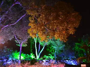 Mahogany Ridge