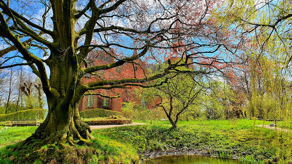 Botanische tuin Domies Toen
