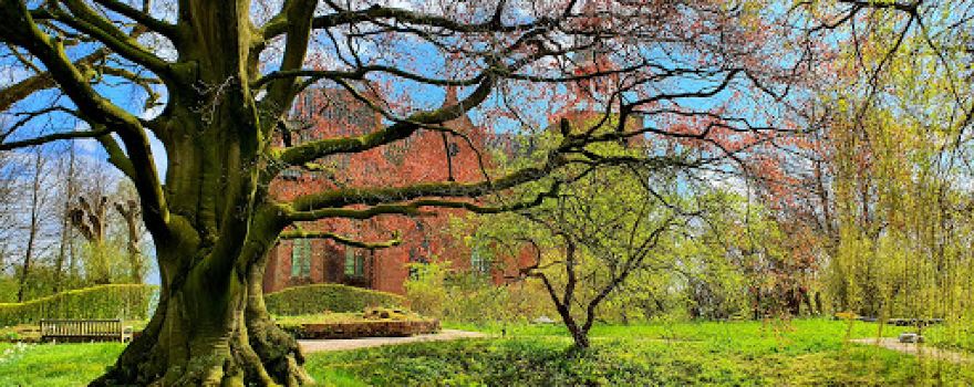 Botanische tuin Domies Toen