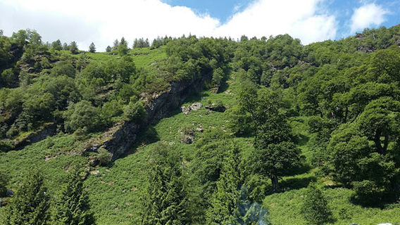 St. Loman's Mullingar GAA Club