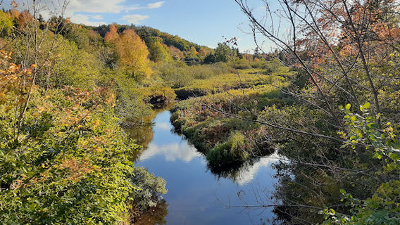 Chéticamp Adventure Co