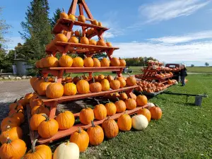 AJ's Berry Farm