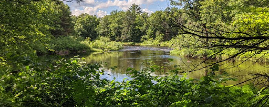 East Fork Black River State Natural Area