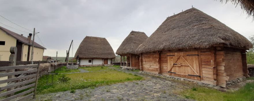Muzeu "Casa Luput"