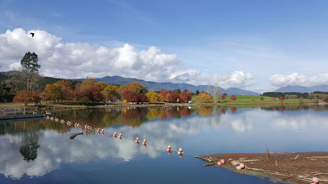 Lake Āniwaniwa Camping Area