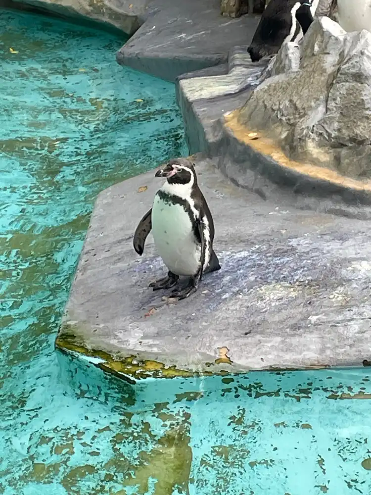 Các khách sạn gần Cologne Zoo