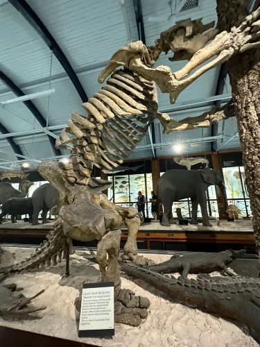 Natural History Museum at Tring