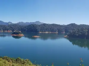 Periyar National Park