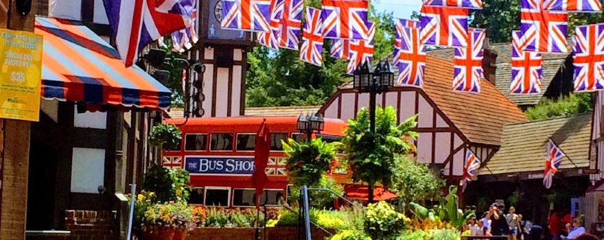 Парк развлечений Busch Gardens