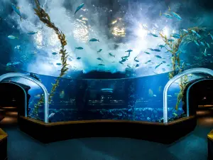 海詩水族館