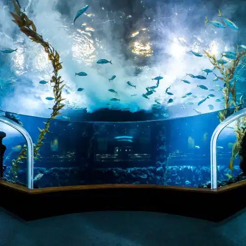 Popular Best Things to Do in Province of Las Palmas