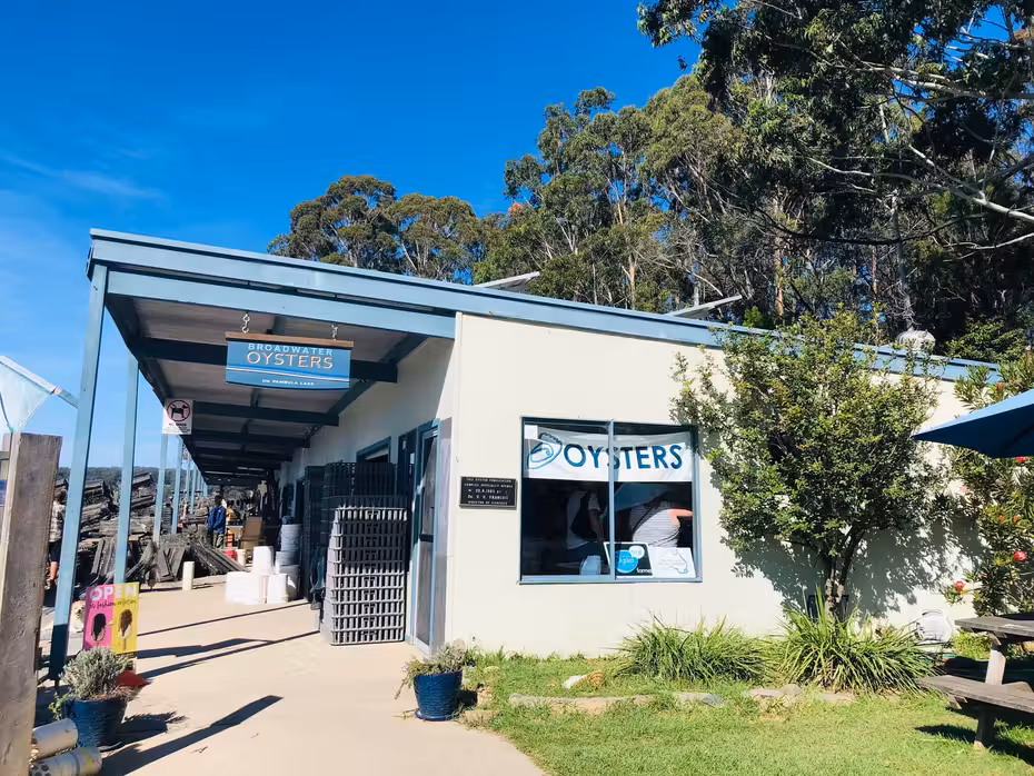 Voli ${{cityDName}} Cooma