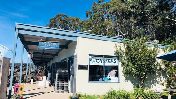 Broadwater Oysters生蚝