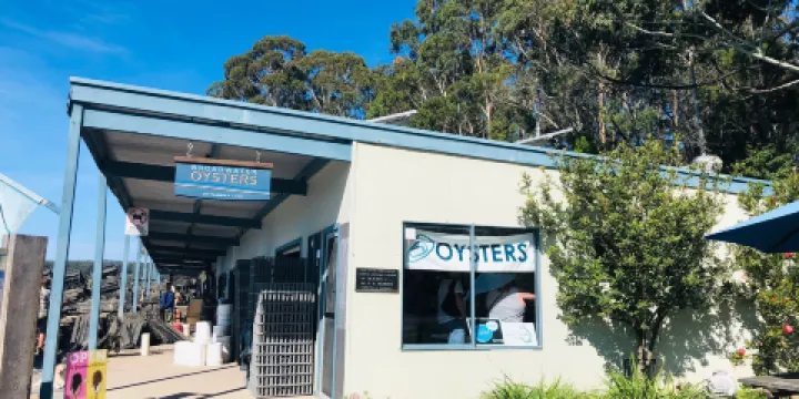 Broadwater Oysters生蚝