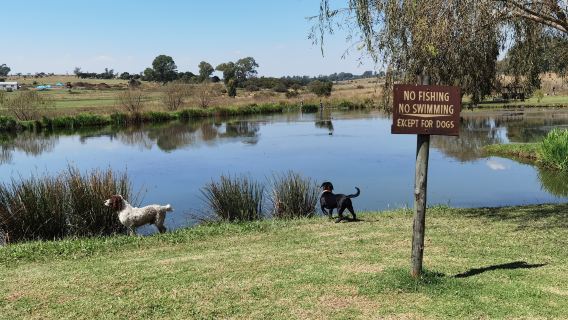 Walkhaven Dog Park