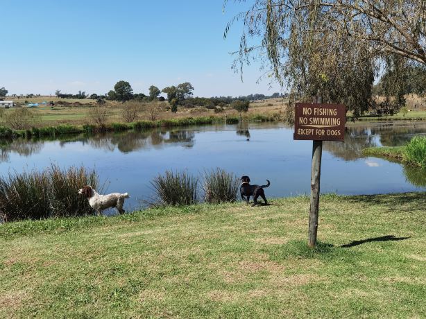 Walkhaven Dog Park