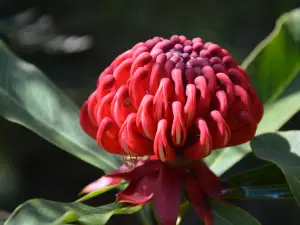 Jardin Georges Delaselle