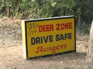 Balukhand - Konark Wildlife Sanctuary