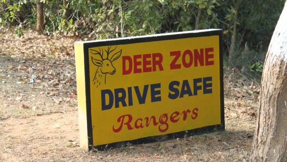 Balukhand - Konark Wildlife Sanctuary