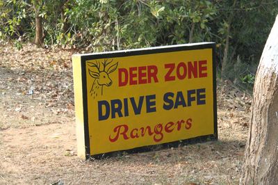 Balukhand - Konark Wildlife Sanctuary