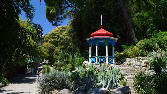 Никитский ботанический сад