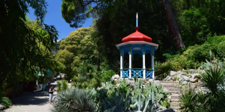 Nikitsky Botanical Gardens
