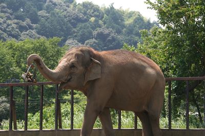 Nihondaira Zoo