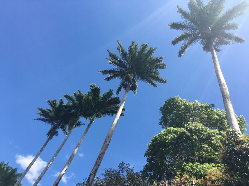 Flüge Teresina Garanhuns